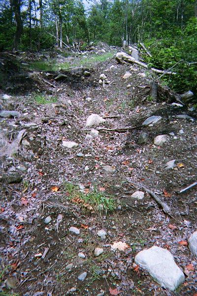 IMG18