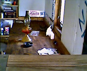 Jun01237